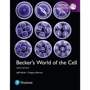 Jeff Hardin, Gregory Bertoni: Becker's World of the Cell (ABE)