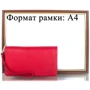 Женский кошелек Canpellini красный (SHI712-172): Тип Кошельки