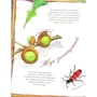 Діанна Гуттс Астон: Жук полохливий: ISBN 978-966-10-5086-9