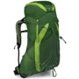 Рюкзак Osprey Exos 38 Tunnel Green - MD (009.1750)