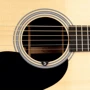 Тюнер D'Addario PW-CT-15 Micro Soundhole Tuner: Производитель D'addario