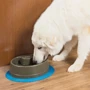 Поилка PetSafe Drinkwell Current для собак и котов автоматический фонтан 3.5 л коричневый (57830): Страна производитель США