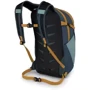 Рюкзак Рюкзак Osprey Daylite Plus Oasis Dream Green/Muted Space Blue (синий): Цвет синий