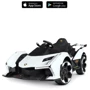 Детский электромобиль Bambi Racer Lamborghini белый (M 4865EBLR-1): Материал корпуса пластик
