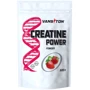 Креатин Vanciton Creatine Power 500 g / 100 servings / Strawberry