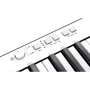 IK MULTIMEDIA iRIG KEYS PRO: Механика Динамическая