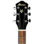 Набор начинающего гитариста Ibanez V50NJP NT: Количество струн 6