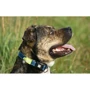 Ошейник Max & Molly Smart ID Collar - Matrix Lime Green/L для собак (4894512017344): Назначение Для больших пород