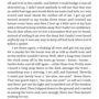 Mark Twain: The Adventures of Huckleberry Finn: Кількість сторінок 318