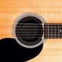 Подавитель обратной связи для акустических гитар PLANET WAVES PW-SH-01 Screeching Halt Soundhole Plug: Производитель PLANET WAVES