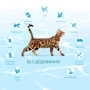 Сухой беззерновой корм Optimeal Beauty Podium Adult cats на основе морепродуктов 1.5 кг (4820215366885): Вес упаковки 1.5 кг
