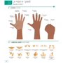 Italian-English. Illustrated Dictionary: Виробник Dorling Kindersley