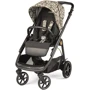 Коляска Peg-Perego 2 в 1 Veloce Grafic Gold графическое золото (PACK-VEL2100000002): Количество блоков 2