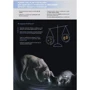 Додатковий корм для дорослих собак та цуценят Pro Plan Canine Probiotic FortiFlora 30х1г (7613036680820) фото 8