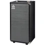 Комбоусилитель AMPEG SVT-210AV
