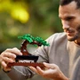 Конструктор LEGO Icons Bonsai Tree Дерево Бонсай (10281) фото 5