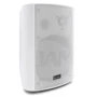 Акустическая система HL AUDIO TH-50