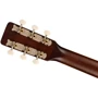 Гітара акустична GRETSCH JIM DANDY DREADNOUGHT FRONTIER STAIN: Тип Акустическая гитара