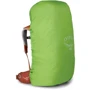 Рюкзак туристический Рюкзак туристический Osprey Ace 50 Orange Sunset O/S оранжевый (009.2131): Производитель Osprey