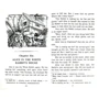 Льюїс Керролл: Аліса в Країні Чудес. Alice in Wonderland: Виробник Айріс-Прес