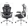 Офисное кресло Sihoo DORO C300 Pro Mesh Black (DORO-C300-PRO-M101)