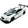 Машина на радиоуправлении АвтоСвіт BENTLEY GT3 (AR-2305): Класс Гоночный