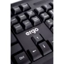 Клавиатура Ergo K-260 USB Black (K-260USB) фото 6