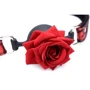 Кляп Master Series Eye-Catching Ball Gag With Rose