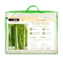 Одеяло Sonex Bamboo Облегченное 155х215 см кремовое с бежевой окантовкой (SO102157): Тип Легкие (сверхлегкие)