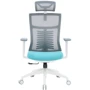Офісне крісло OfficePro Balance (OC550-W-DG-BL): Тип для персоналу