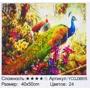 Картина по номерам TK Group Павлины 40х50 см (YCGJ 36915)
