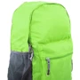 Жіночий рюкзак Valiria Fashion салатовий (3DETAA20003-4): Стать жіночий