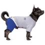 Костюм для собак Pet Fashion Орион XS серый (4823082416820): Размер животного Маленькие