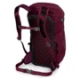 Рюкзак Osprey Skimmer 20 Plum Red - O/S (009.1923): Производитель Osprey
