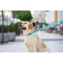 Поводок WAUDOG Waterproof, светящийся 15 мм 122 см ментоловый (2730): Вид Обычный