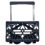 Сумка-візок Rolser Plegamatic Original MF 40 Azul (PLE001-1026): Колір синій