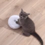 Іграшка для кішок Xiaomi Homerun Smart Cat Toy White фото 8