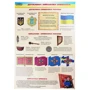 В. Лелека: Захист Вітчизни. 10-11 клас. Плакати: Производитель Ранок