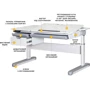 Детский стол Mealux Milton Electro lite Grey (арт. BD-730 WG lite): Тип Парта