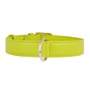Ошейник Collar Glamour без украшений 20 мм 30-39 см салатовый (4820152560858): Производитель Collar