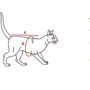 Свитер Природа для котов CAT XS персик (PR242966): Цвет розовый