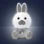 Игрушка-ночник Chicco Кролик Dreamlight музыкальная (11456.00): Вид Животное