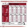 Сухой корм для собак Royal Canin Medium Adult 7+ средних пород старше 7 лет 4 кг (3005040): Класс Супер премиум
