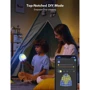 Настольный светильник умный Govee H6057 Night Light RGBIC белый (H6057301): Особенности Таймер, Рассеянный свет