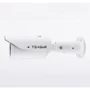 Вулична IP-відеокамера Tecsar IPW-1.3M-40V-poe / 2 (000005511): Тип корпуса вулична