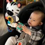 Мягкая игрушка Baby Einstein Zen's Sensory Play (12793)