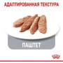 Влажный корм для котов Royal Canin Light Weight Care в желе 85 г (4152001): Возраст Взрослые