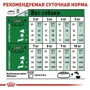 Сухой корм для собак Royal Canin Mini Ageing 12+ малых пород старше 12 лет 800 г (1007008): Класс Супер премиум