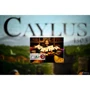 Caylus 1303