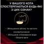 Влажный корм Purina Pro Plan DM ST/OX Diabetes Managment для регулирования поступления глюкозы сахарный диабет кусочки в соусе с курицей 10х85 г (8445290093493): Класс Супер премиум